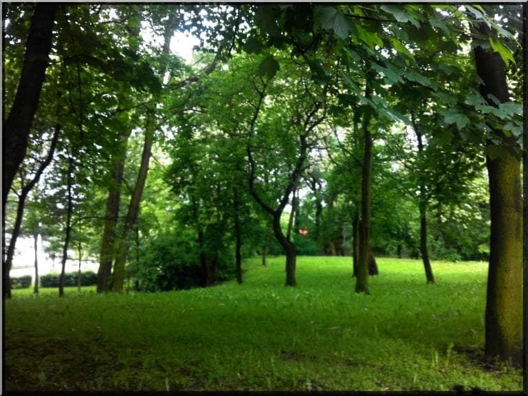 Zabrze Śródmieście - Mikulczyce