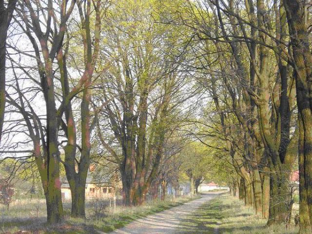 Janów - Lelów