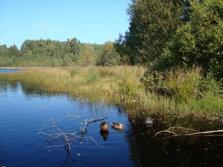 Rumia - Piaśnica - Rumia