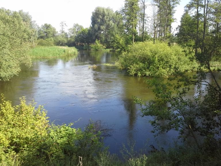 Nadwieprzański Park Krajobrazowy
