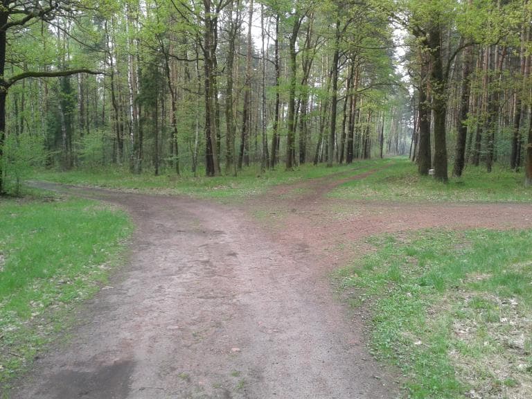 Kuźnia - Nędza - Siedliska - Kuźnia 2