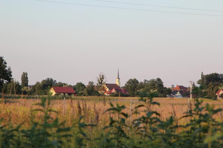 Miękinia-Białków-Głoska-Lubiatów