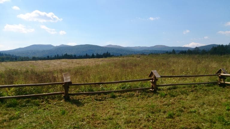 Tarnawa Niżna - Bukowiec - Tarnawa Niżna