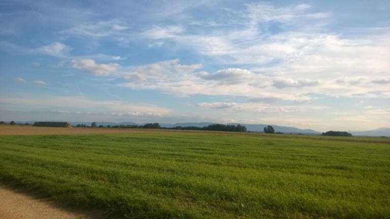 Chełm Śląski - Rudołtowice - Chełm Śl.