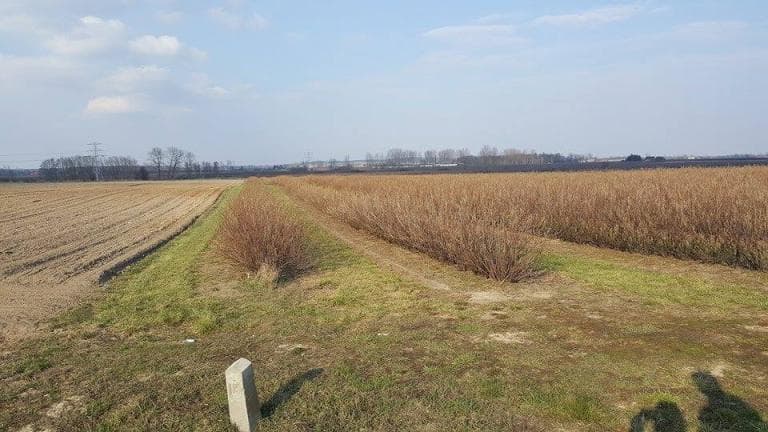 Konin-Koło-Sompolno-ślesin-Konin
