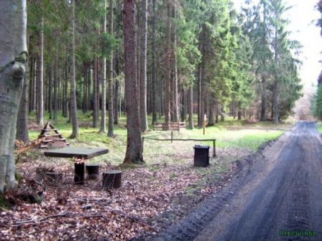 Pętla Koszalin - Sianów - Rekowo- Lubiatowo