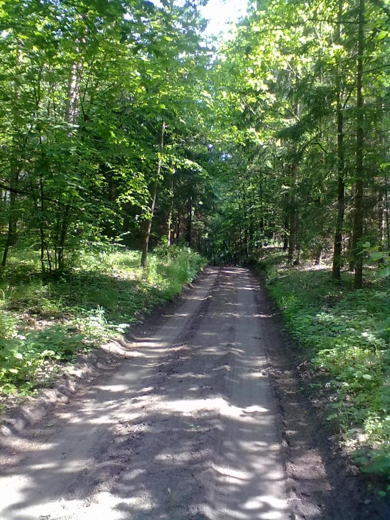 Wilkasy-Wikasy