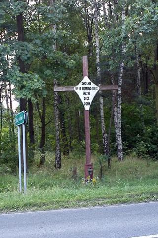 Lubin - Brunów - Lisiec - Wiercień - Lubin