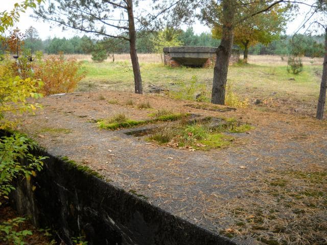 Nowa Dęba - Blizna - Sędziszów Młp.