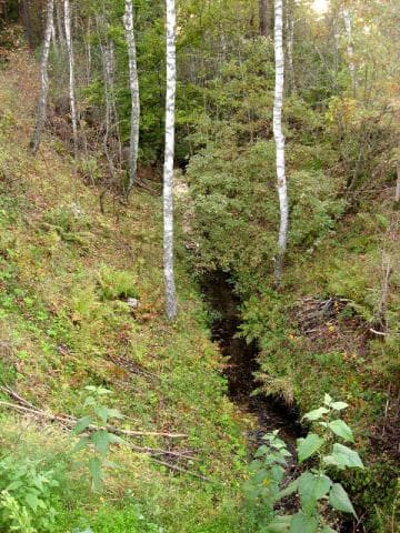 Trzcianka - Smolarnia - Straduń