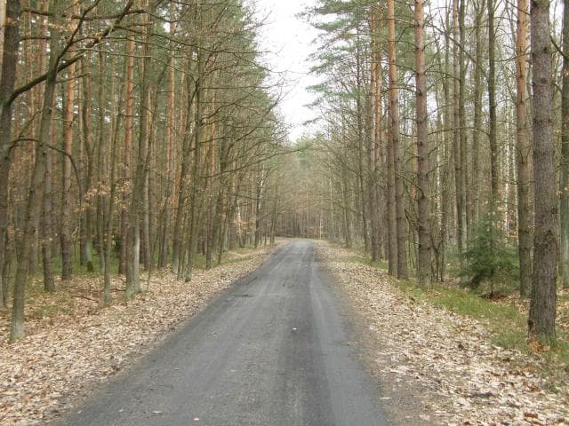 Lubin - Górzyca - Michałów