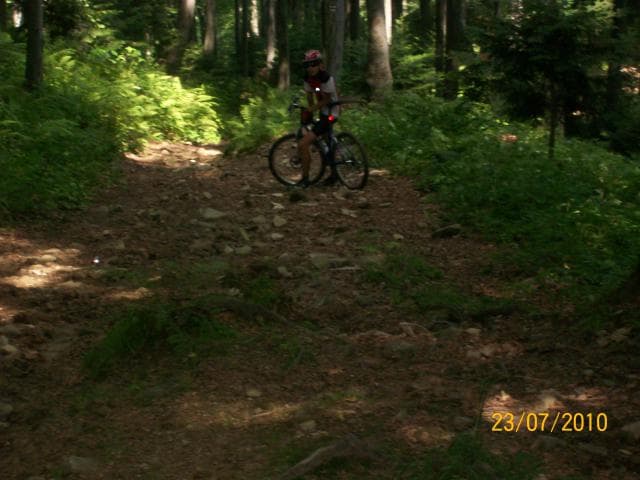 Biczyce Dolne - Nowy Sącz - Przehyba