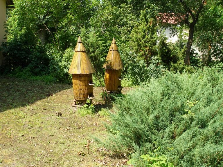 Pętla Janów Pdlaski - Terespol 