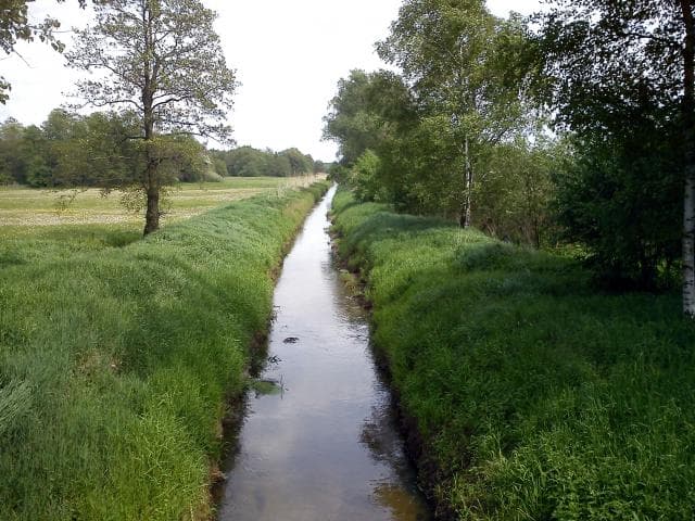 Głogów - Wyszanów - Gola
