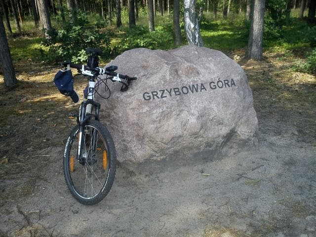 z Lubina do Polkowic przez Rynarcice