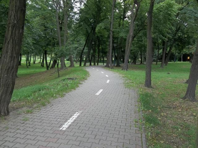 Hutnicza - Obora - Stary Lubin - Hutnicza