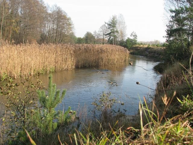 Sosnowiec - Maczki - Sosnowiec