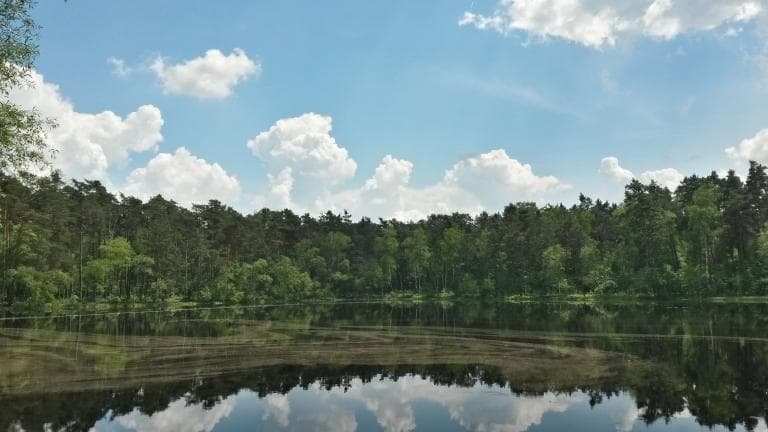 Puszcza Niepolomicka i Wisła.
