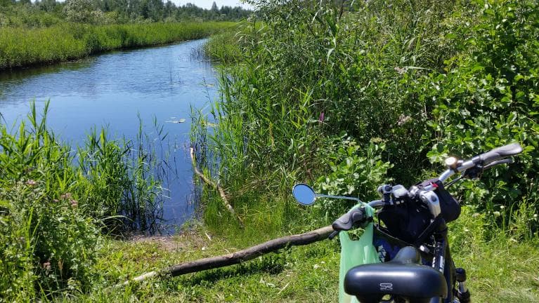 sosnowiec ludwik- las za maczkami