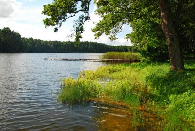 Szlak żółty Elbląg - Goryń
