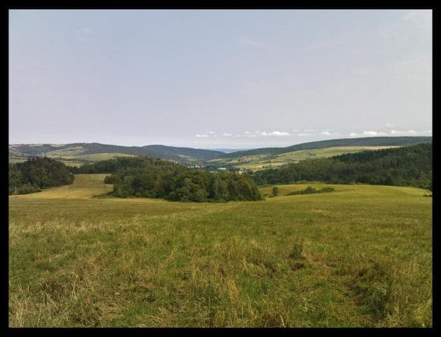 Wietrzno - Daliowa - Pałacówka