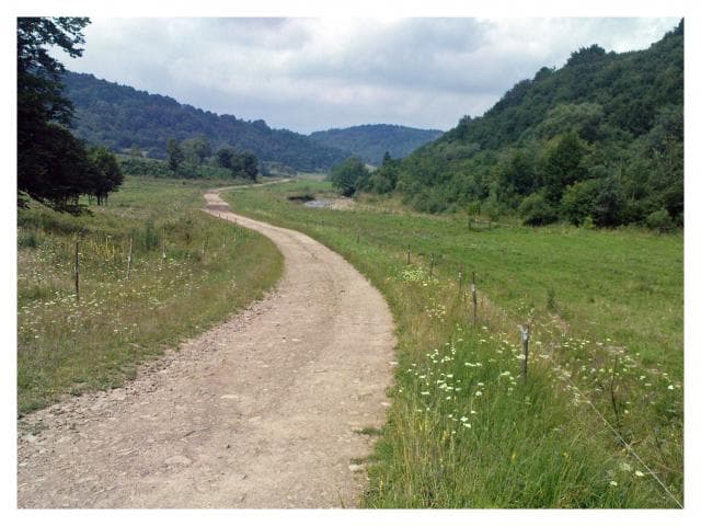 Wietrzo - Olchowiec - Wietrzno