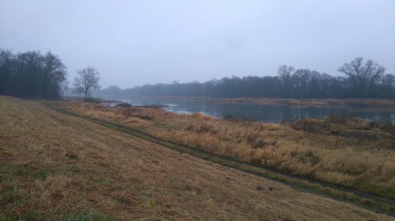 Głogów - Rybaczówka (wałem wzdłuż Odry)