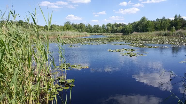 Zagubieni Nad Swidrem