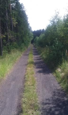 Piekary Śląskie i leśne okolice