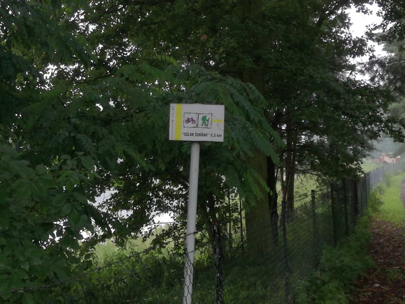Jezioro Wolsztyńskie
