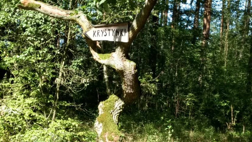 Rawicz-Szymanowo-Dębno Polskie-Zielona Wieś-Wydawy-Czarny Las-Radziądz-Nowe Domy-Borki-Garbce-Korzeńsko-Laskowa-Kąkolno-Warszewko-Masłowo-Rawicz