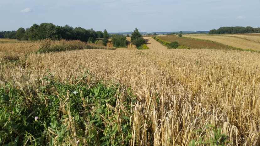 Modliborzyce Wierzchowiska Antolin Pasieka Godziszów Branewka Krzemień Zofianka Janów Lub.