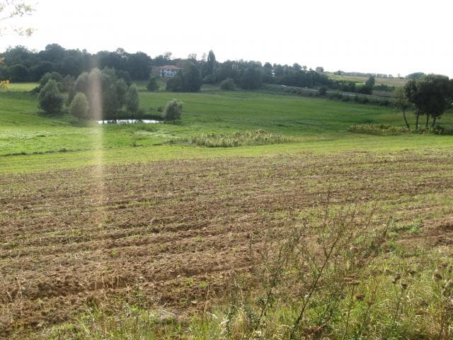 Gniezno - Jankowo Dolne