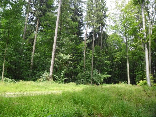 Łojowice - Przeworno - Brukalice