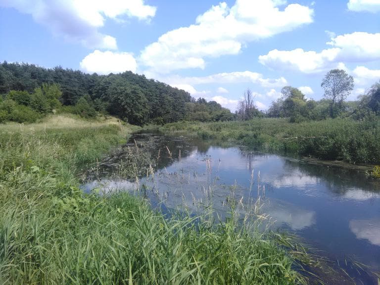 Siedlce-Kisielany-Siedlce