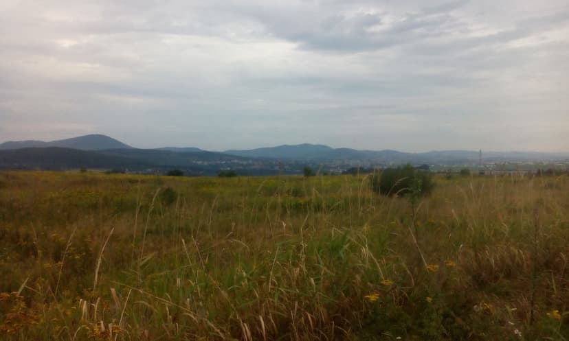 Strefa Struga Szczawno