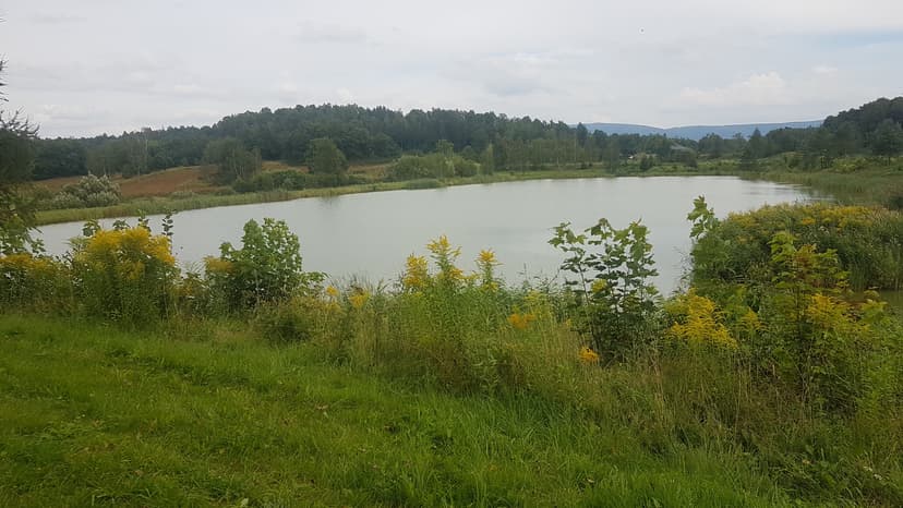 GŁĘBOCK . 18.08.2017 12:01