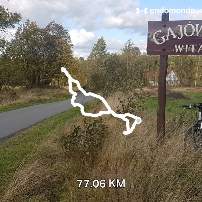 GAJÓWKA BIS...09.10.2017 11:19