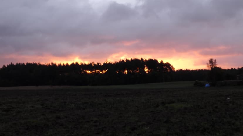 11.10.2017 06:57