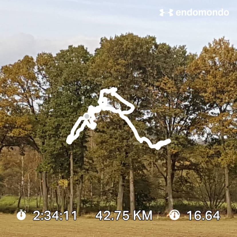 WOJANÓW...14.10.2017 11:32