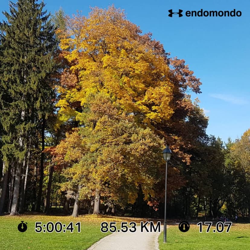 PODZAMCZE .15.10.2017 09:59