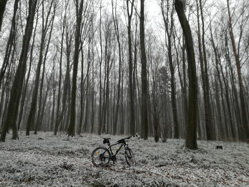 Wietrzno OSP przez Wały Do Wietrzno Osp