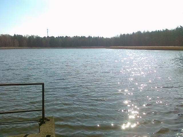 Wycieczka do Antonina
