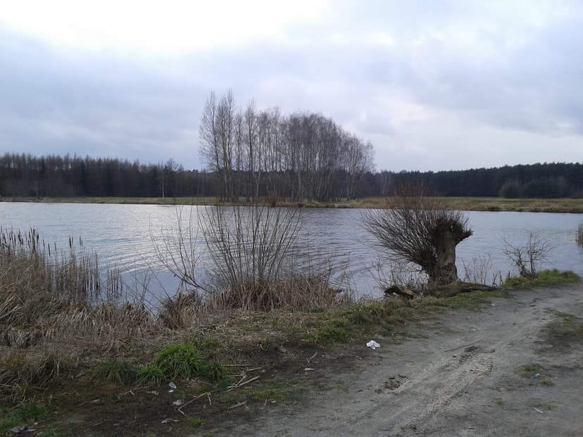 04.02.2018 14:58
