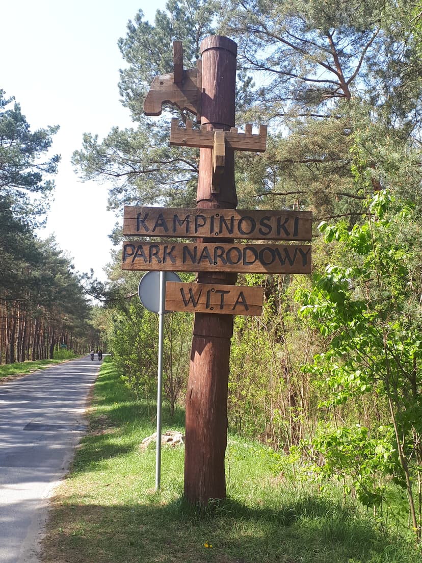 Młociny-cmentarz partyzancki 1944-Młocin