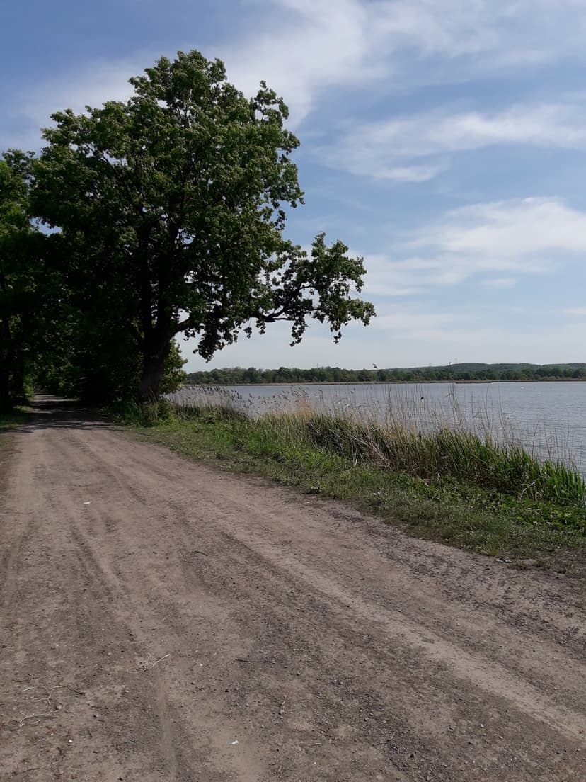  Grodzisko