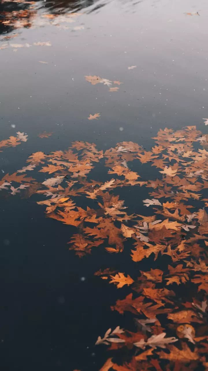 09.05.2018 16:55