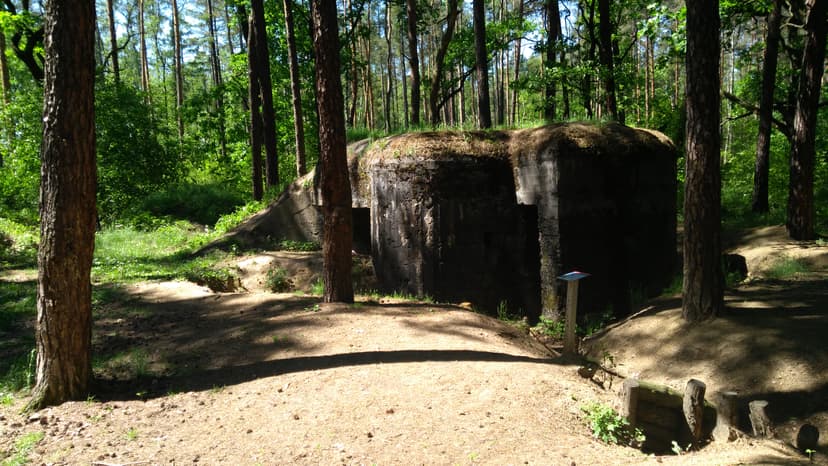 Żory