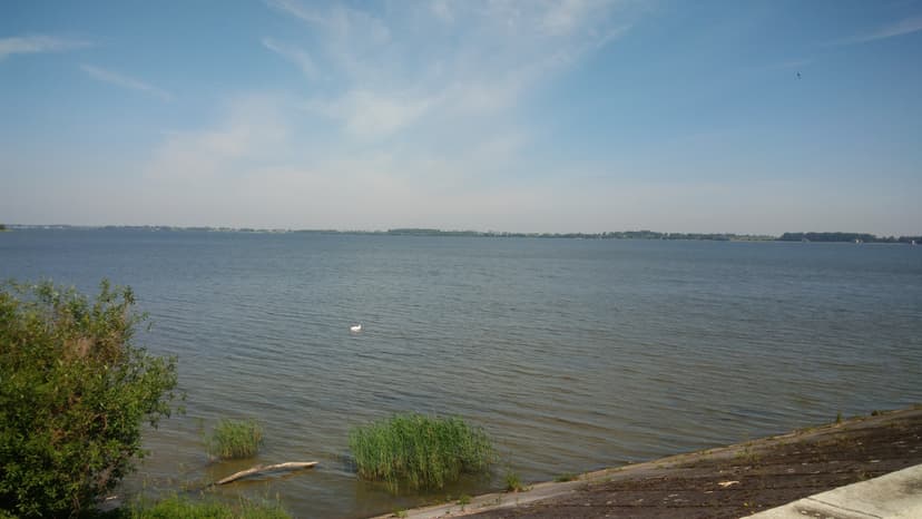 Pszczyna