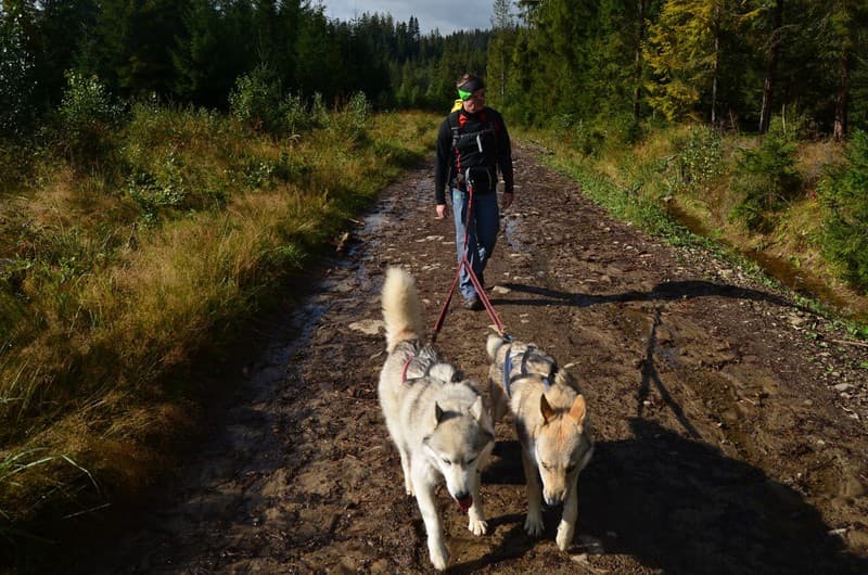 Dogtrekking na Babią Górę